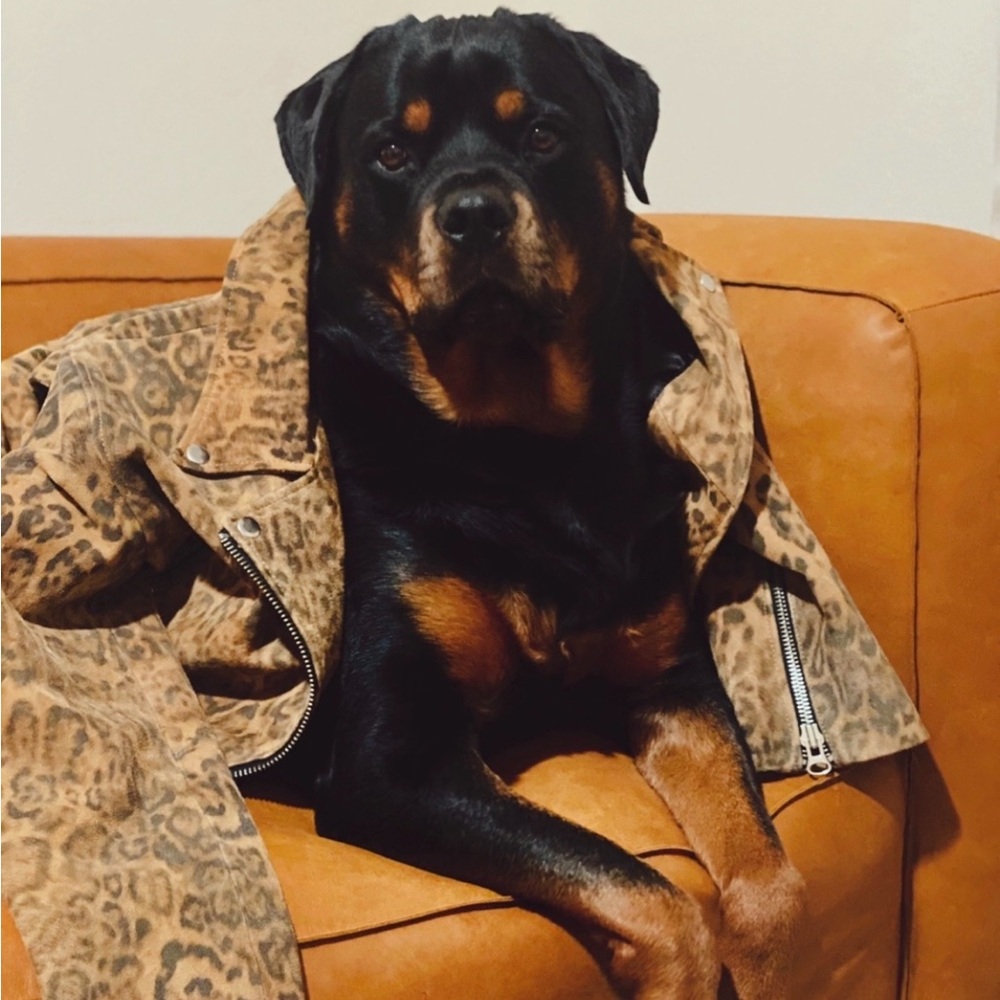 Meet your Posher, Liz.